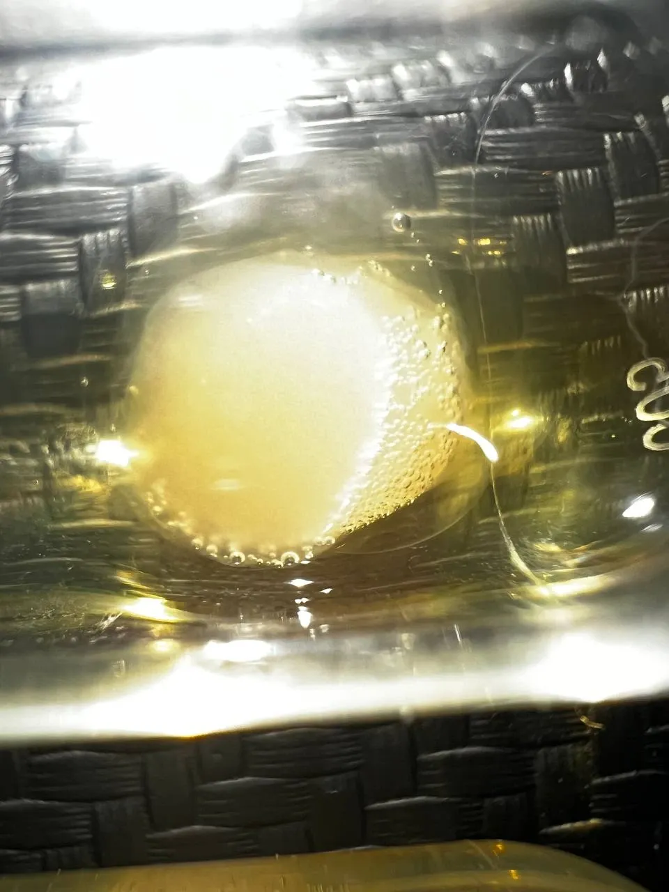 Blood plasma sample in test tube