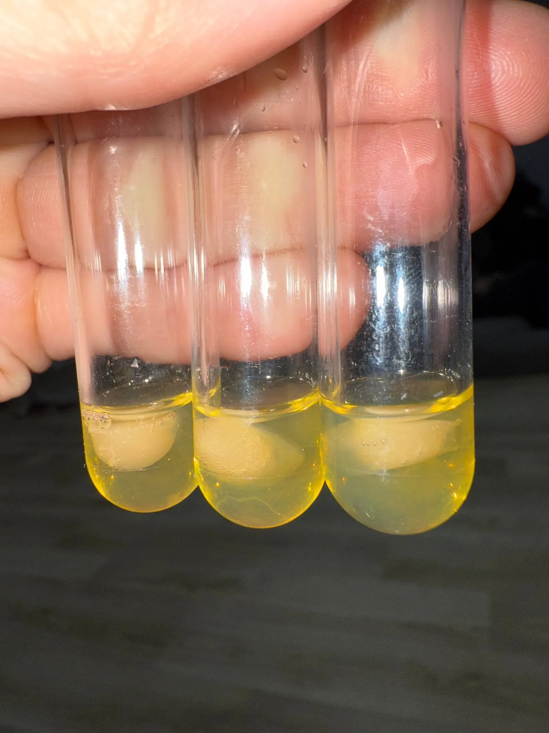 Time-lapse coagulation sequence
