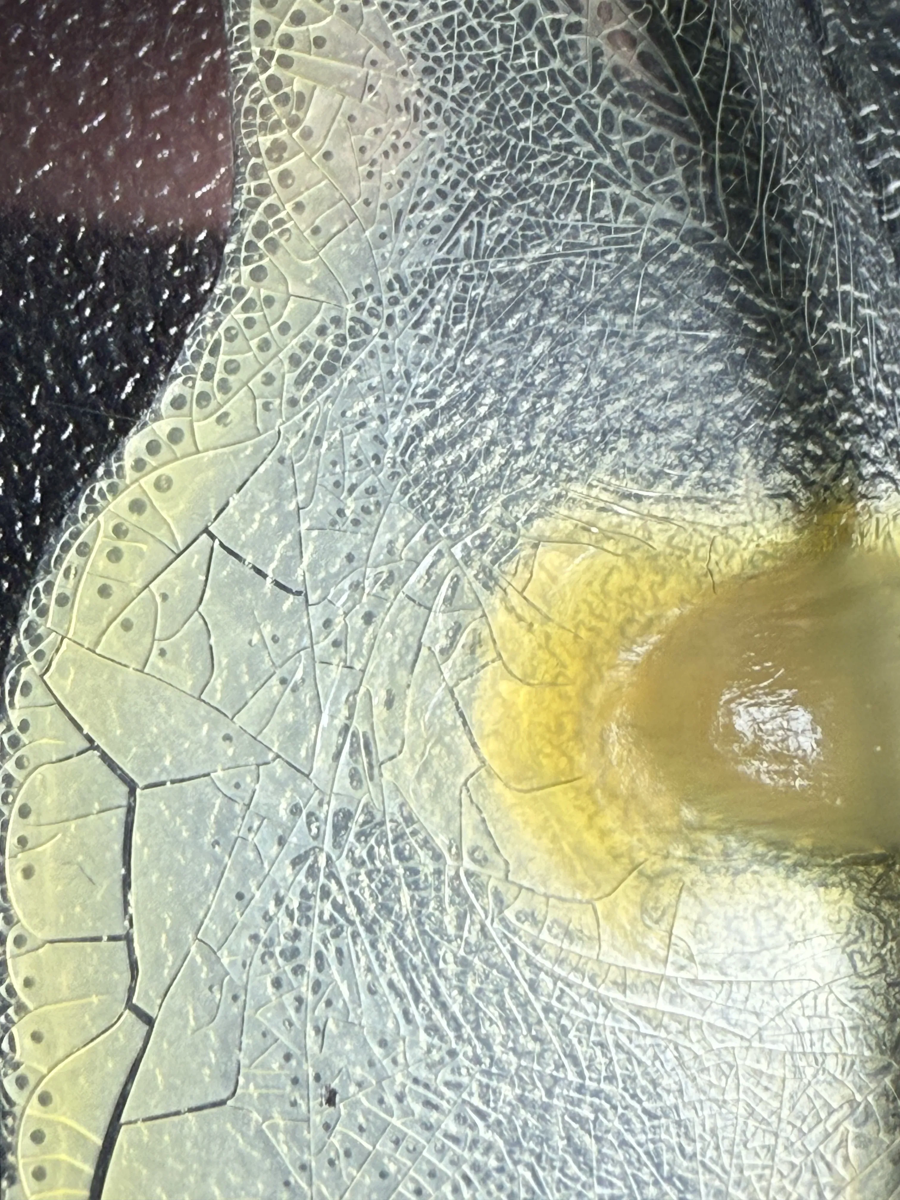 Statistical analysis results visualization