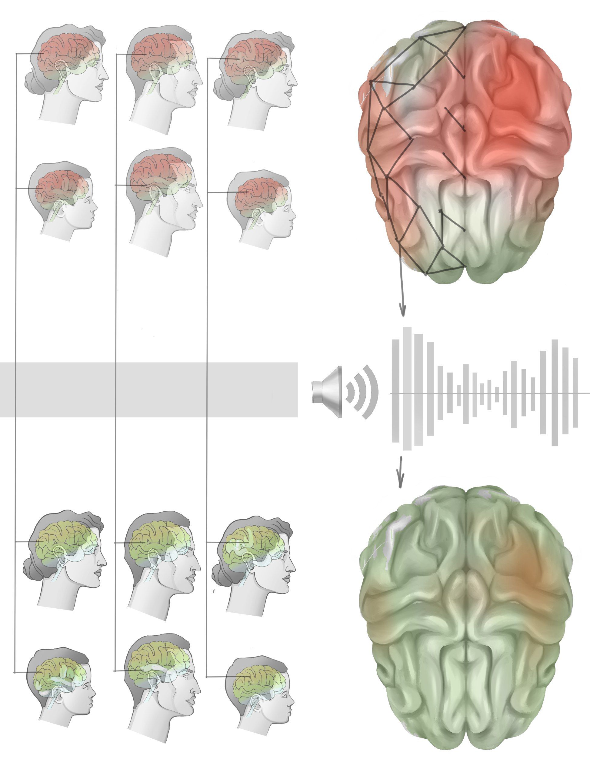 Figure 3. Describes the processes of obtaining biological data. And using of AI to forecast events